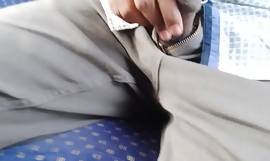 Dick in bus