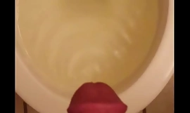Full bladder on with an increment of off pissing out of a thick meaty erection.
