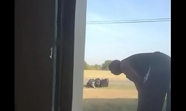 Ébène couve noir arrière-train avec concombre extérieur regardant poubelle