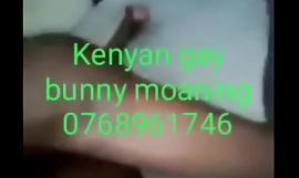Kenya Gay kelinci annal fuck dia juga gay seks pekerja untuk terjangkau harga tolong whatsapp dia di 254768961746