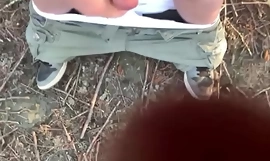 Παχουλός αρκουδάκι τράνταγμα κόκορας στα δάσος τεράστιο καμπωτό