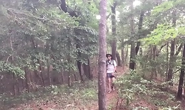 Um passeio pela floresta